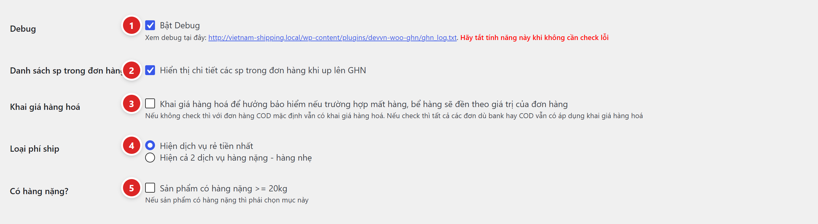 Năm tuỳ chọn Debug, Danh sách sp trong đơn hàng, Khai giá hàng hoá, Loại phí ship và Có hàng nặng