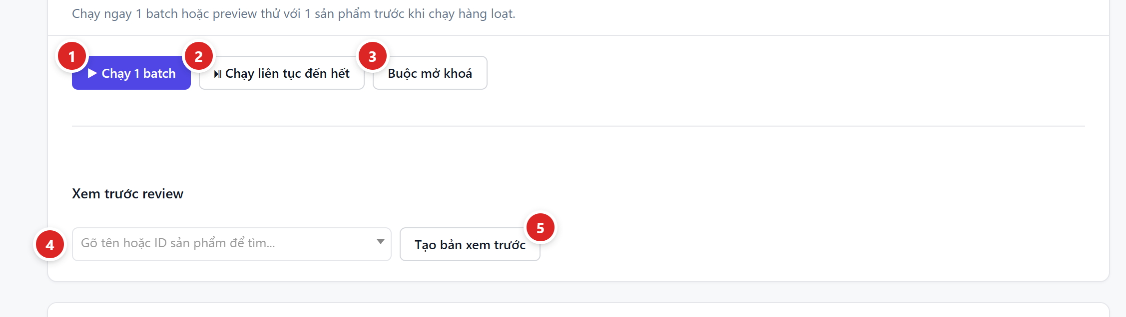 Mục Manual run và Preview với năm vị trí được đánh số