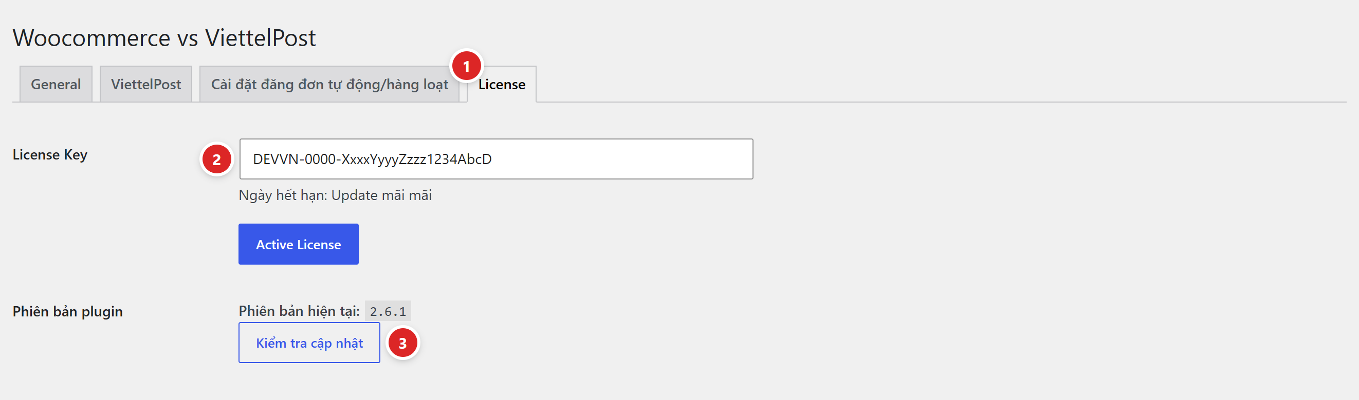 Tab License với ô License Key, nút Active License, ngày hết hạn và nút Kiểm tra cập nhật