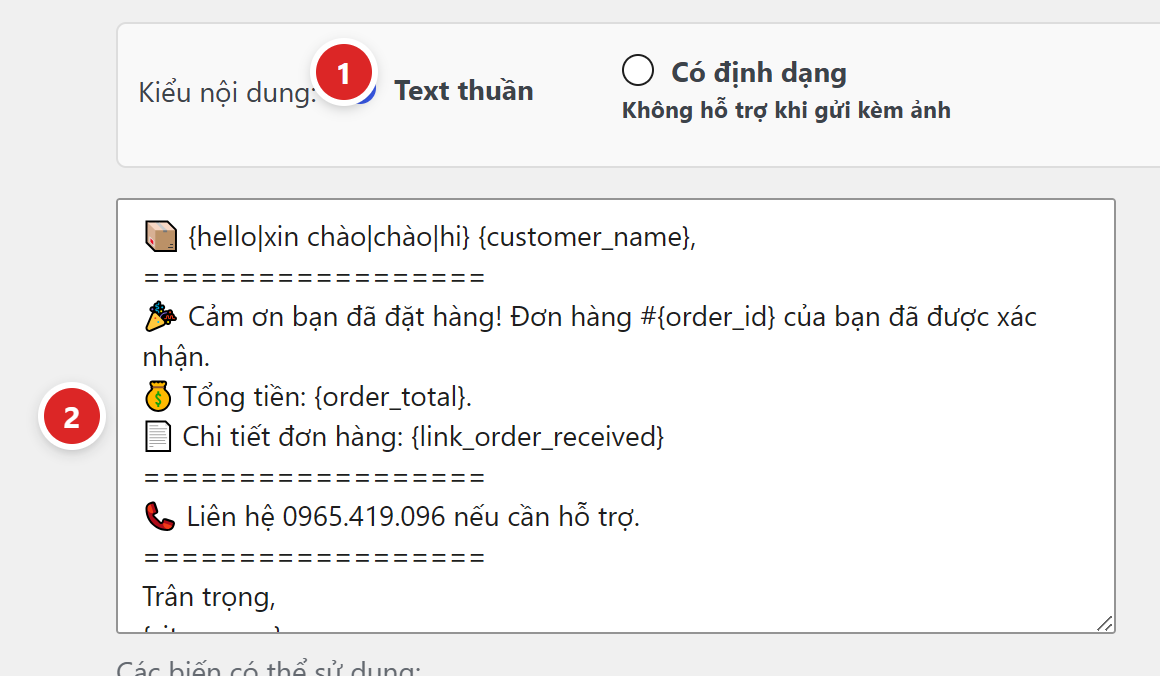 Ô chọn kiểu nội dung Text thuần hoặc Có định dạng, bên dưới là ô soạn mẫu tin nhắn