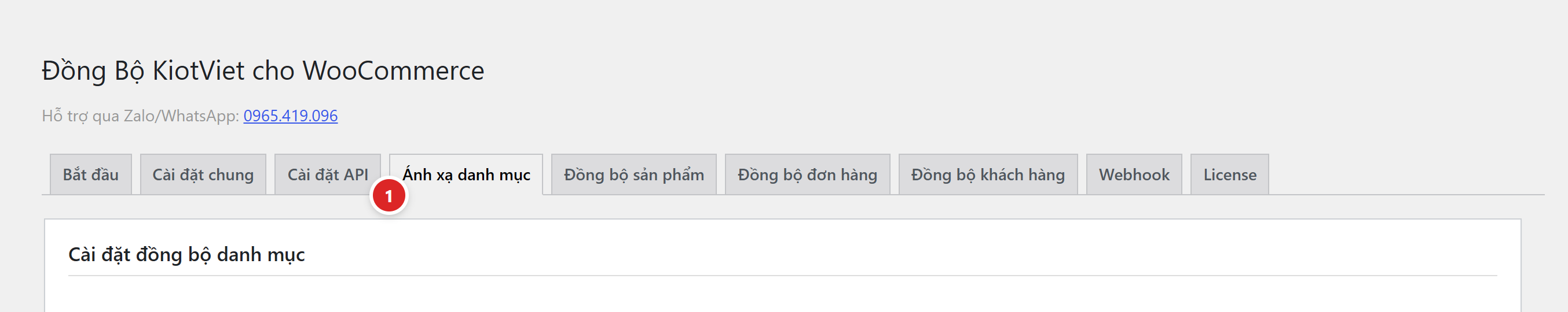 Thanh tab với chấm số 1 chỉ vào tab Ánh xạ danh mục