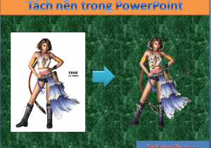 Tách nền ảnh trong MS PowerPoint 2007