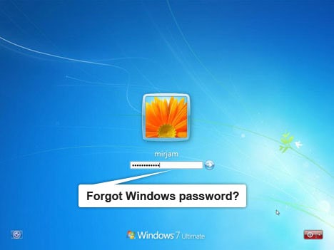 forgot windows password