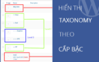 Hiển thị Taxonomy theo cấp bậc – Get taxonomy by level